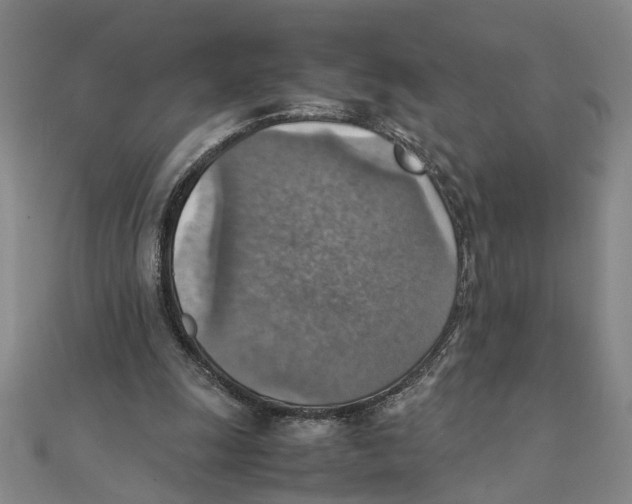 X0000111350247200908071139