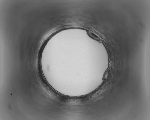 X0000111350248200908071139