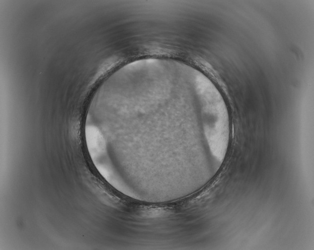 X0000111350249200908071139