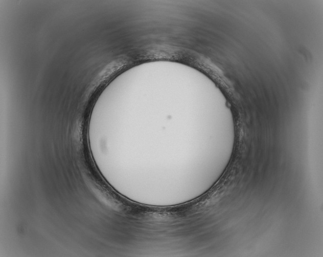 X0000111350250200908071139