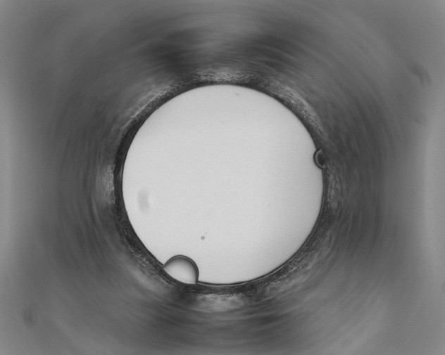 X0000111350251200908071139