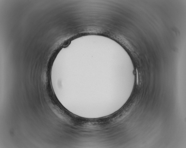 X0000111350252200908071139