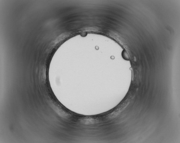 X0000111350253200908071139