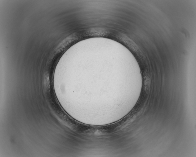 X0000111350254200908071139