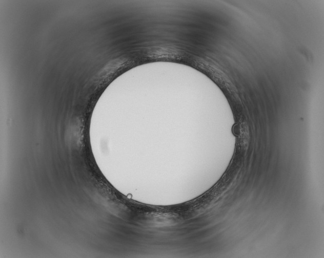 X0000111350255200908071139