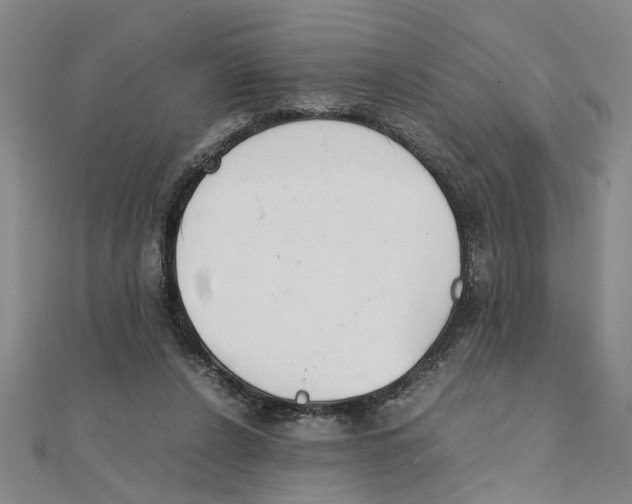 X0000111350256200908071139