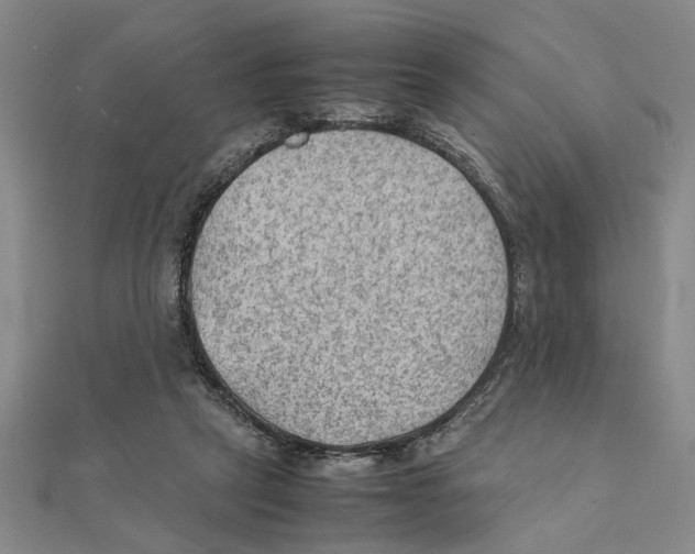 X0000111350257200908071139