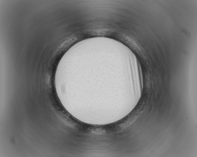 X0000111350258200908071139