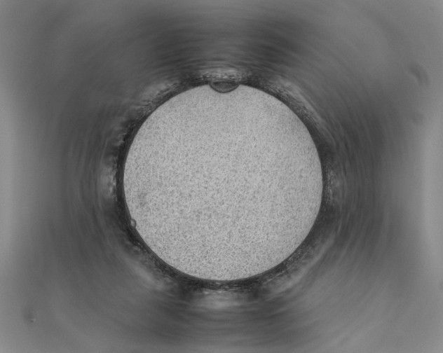 X0000111350259200908071139