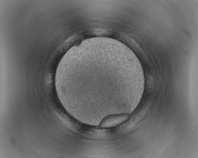 X0000111350260200908071139