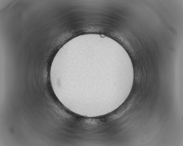 X0000111350261200908071139