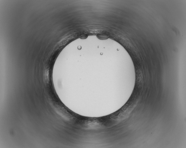 X0000111350262200908071139
