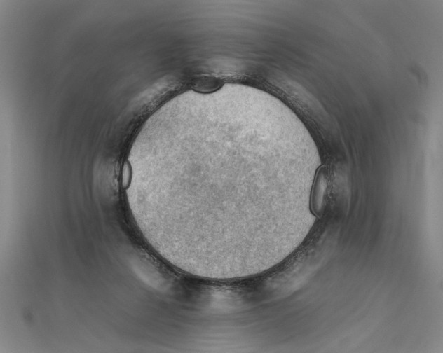X0000111350264200908071139