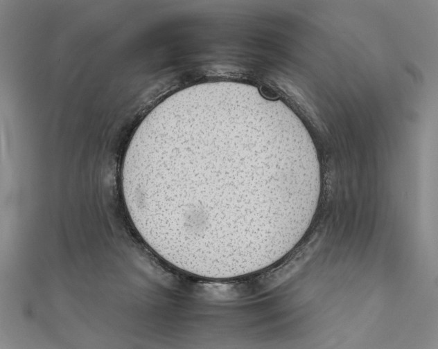 X0000111350265200908071139