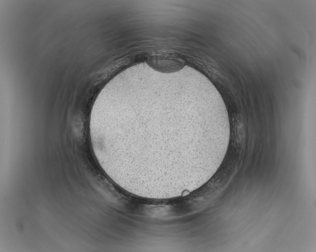 X0000111350266200908071139