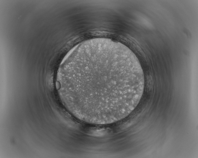 X0000111350267200908071139
