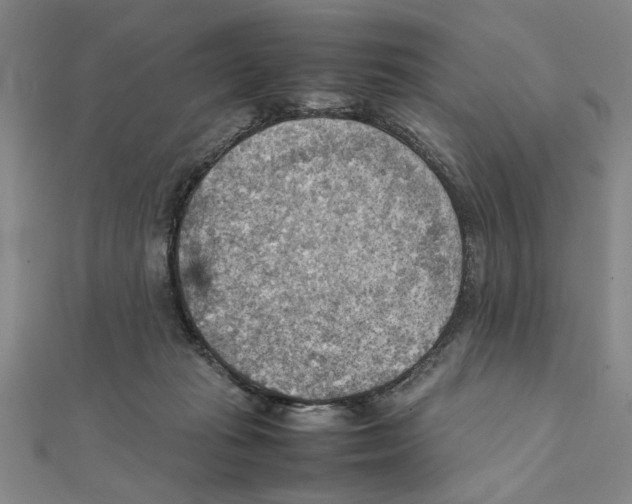X0000111350269200908071139
