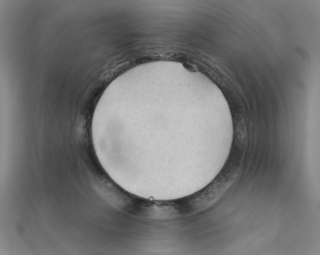 X0000111350270200908071139