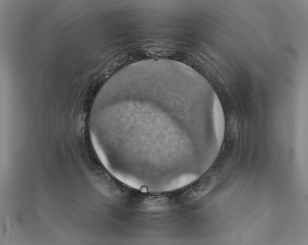 X0000111350271200908071139