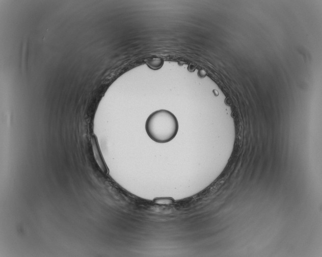 X0000111350272200908071139