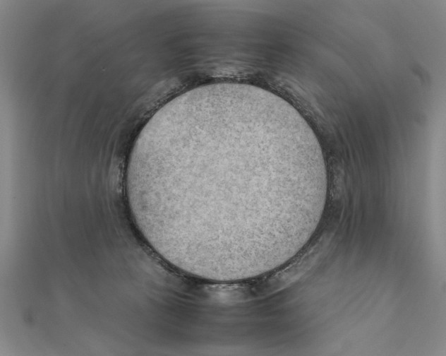 X0000111350273200908071139