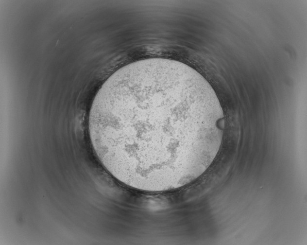 X0000111350275200908071139