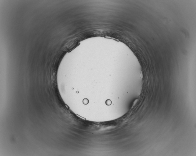 X0000111350276200908071139
