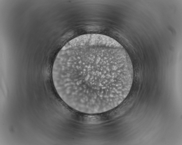 X0000111350277200908071139