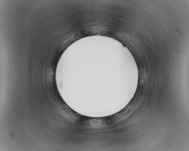 X0000111350279200908071139
