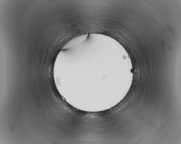 X0000111350280200908071139