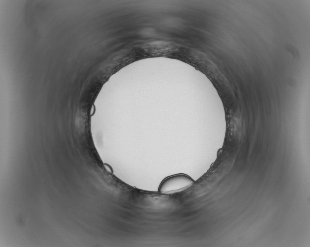 X0000111350283200908071139