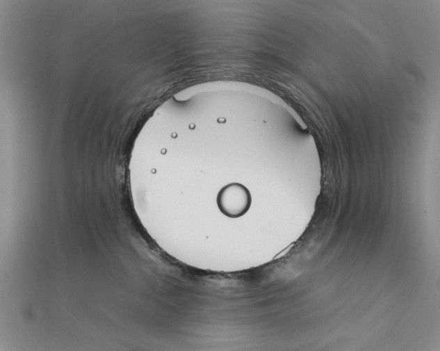 X0000111350284200908071139
