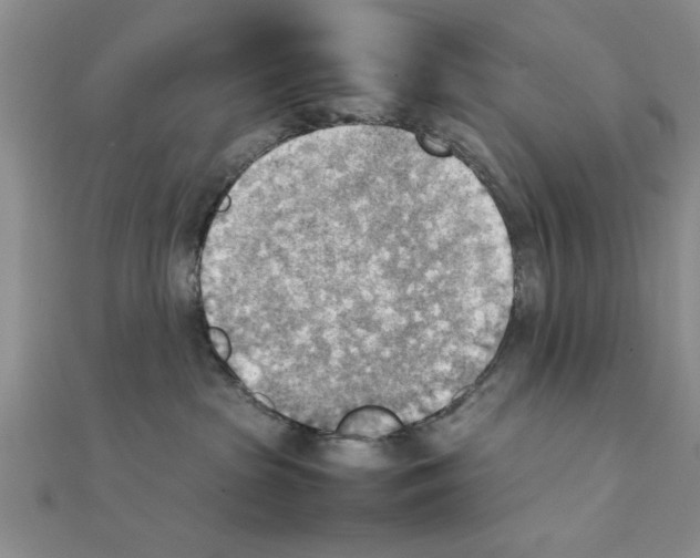 X0000111350285200908071139