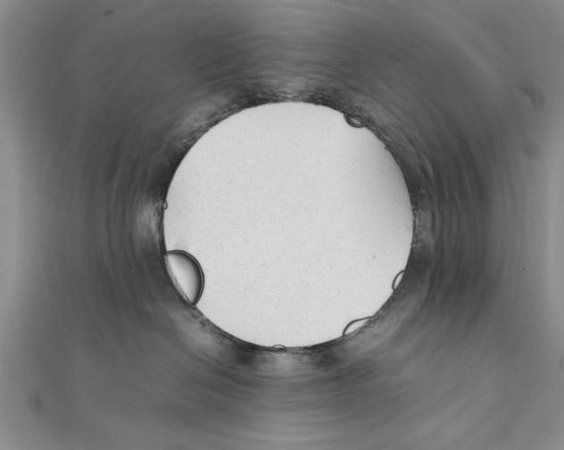 X0000111350286200908071139
