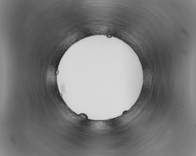 X0000111350287200908071139