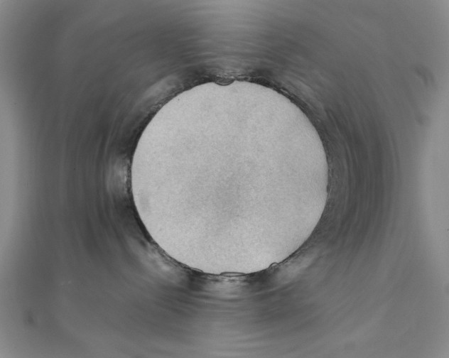 X0000111350288200908071139