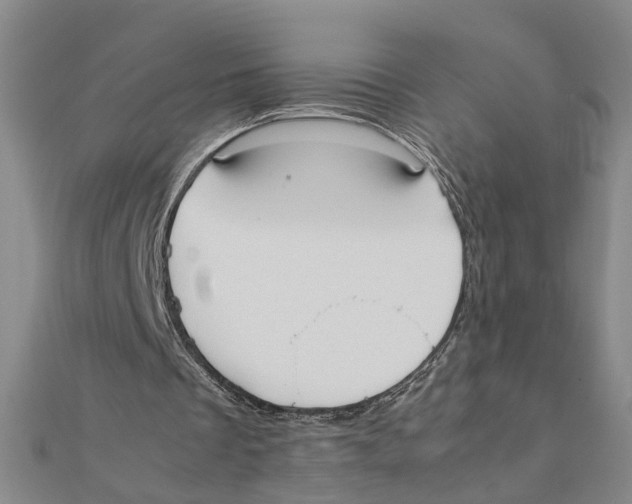 X0000111350289200908071139