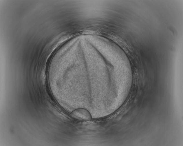X0000111350290200908071138