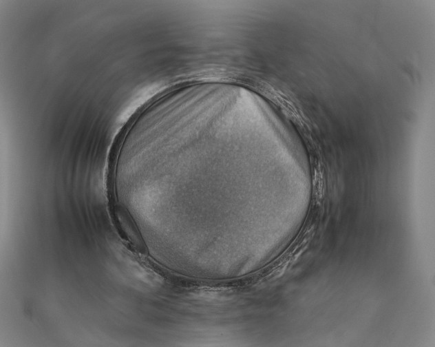 X0000111350292200908071138