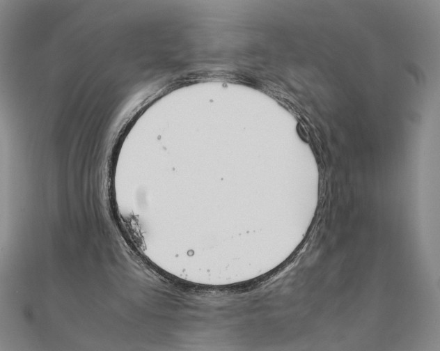 X0000111350293200908071138