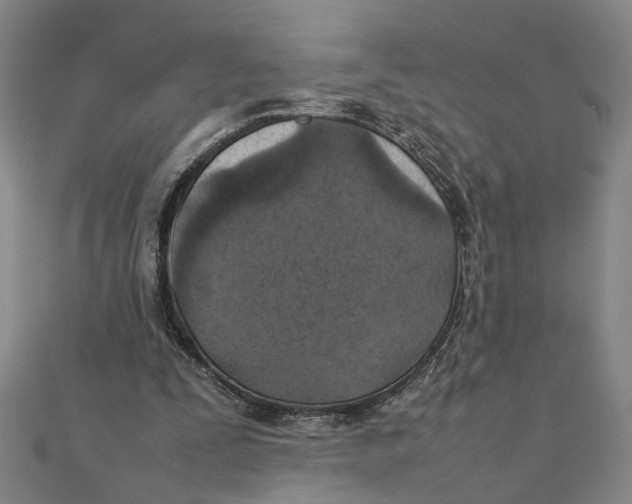 X0000111350295200908071138