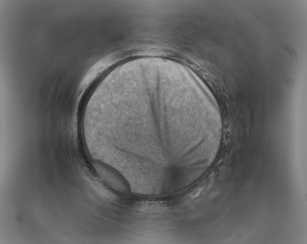 X0000111350296200908071138