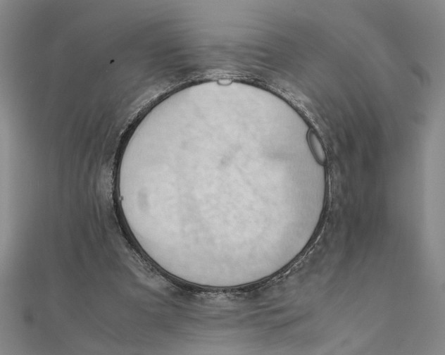 X0000111350297200908071138