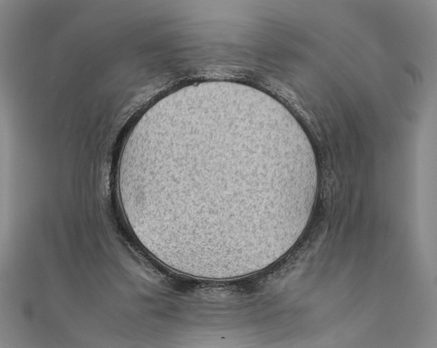 X0000111350299200908071138