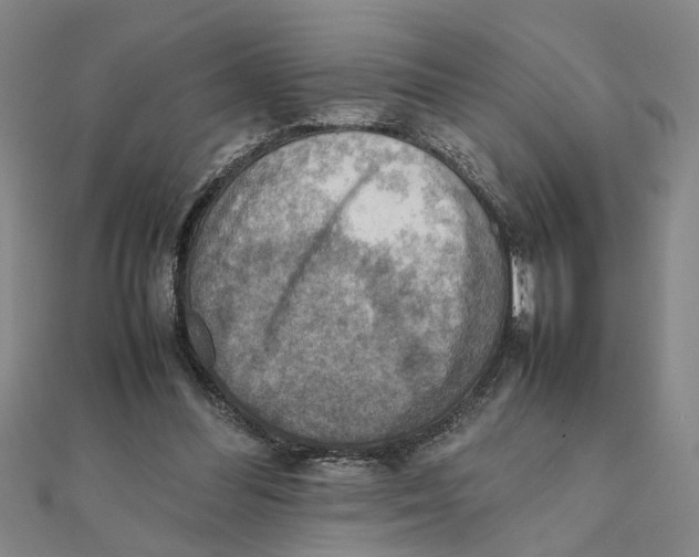 X0000111350300200908071138