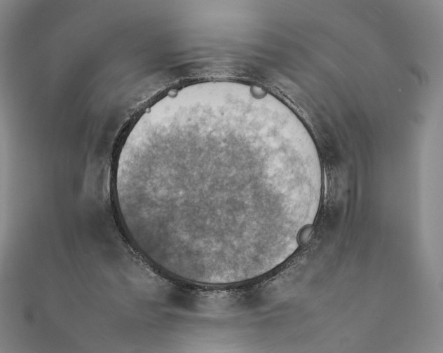X0000111350301200908071138