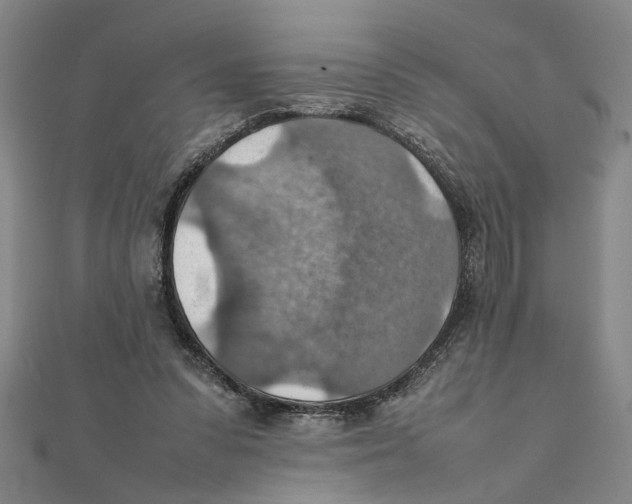 X0000111350303200908071138