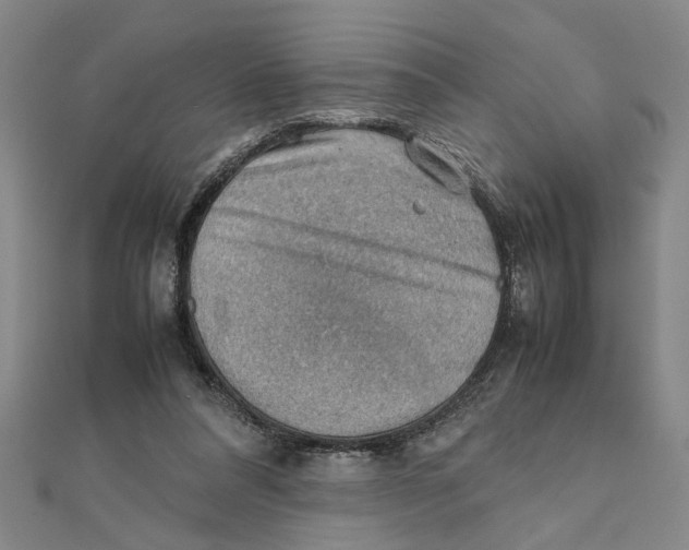 X0000111350304200908071138