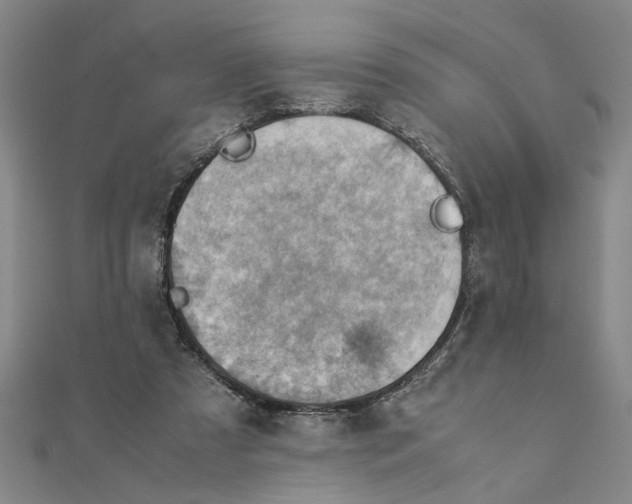 X0000111350305200908071138