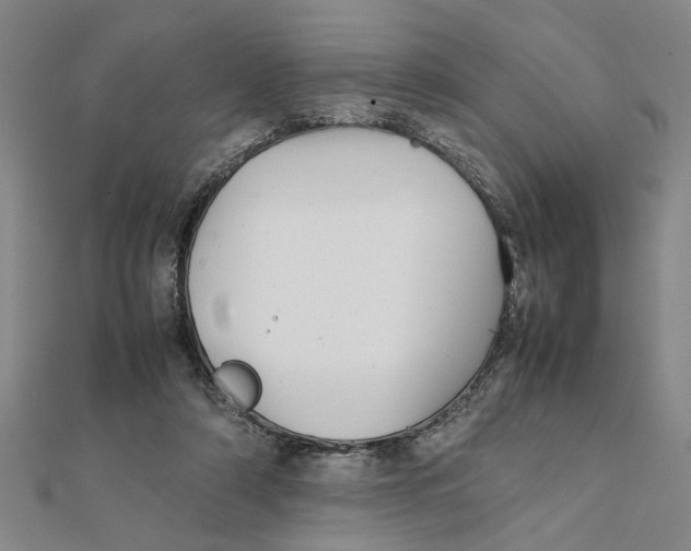 X0000111350306200908071138